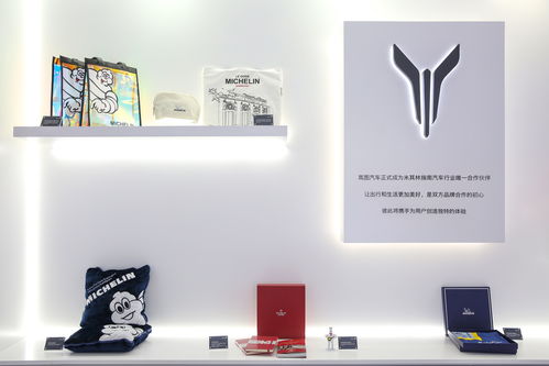 央企高管与央视女主播在上海车展创新带货岚图汽车