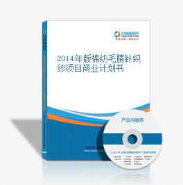 2014年版棉纺毛腈针织纱项目商业计划书