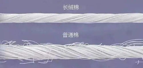 能把一双袜子做到这种程度的,我只服这家