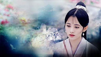 芸汐传 同为王妃,女主女二的差别真大,看这一点就知道了