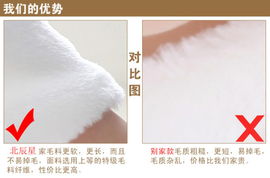 北辰星秋冬新款毛披肩 可爱新娘毛披肩 白色婚纱礼服旗袍小披肩