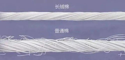 北欧风床品新宠 毛腈混纱，如何用简约美学打造高级睡眠空间？